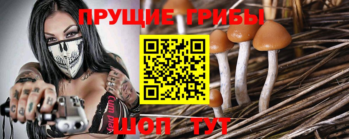 Псилоцибиновые грибы MAGIC MUSHROOMS  Вход с VPN  Чайковский 